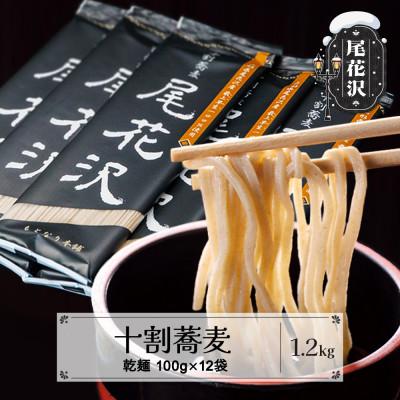 ふるさと納税 尾花沢市 十割そば 尾花沢 乾麺 100g×12袋 山形県 尾花沢市