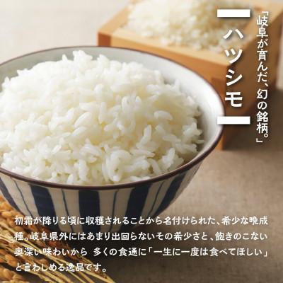 ふるさと納税 本巣市 【新米先行受付】令和8年産 ハツシモ 5kg 無洗米 |  | 01