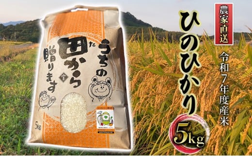 米 5kg 令和7年度産米 ひのひかり 筑後小郡産 農家直送 お米 コメ