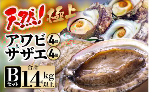 【期間限定】天然！極上 アワビ ＆ サザエ セットB【入手困難 産地直送 刺身 お造り おせち バター焼き BBQ あわび 鮑 サザエ さざえ 貝 砂抜き済 海鮮 魚介 酒の肴 つまみ 贅沢 ご褒美 冷凍 福井】[m21-ｍ001_01]
