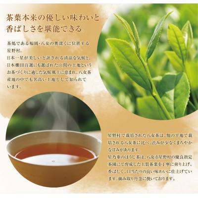 ふるさと納税 福智町 八女ほうじ茶　ティーバッグ3g×200個入 |  | 02