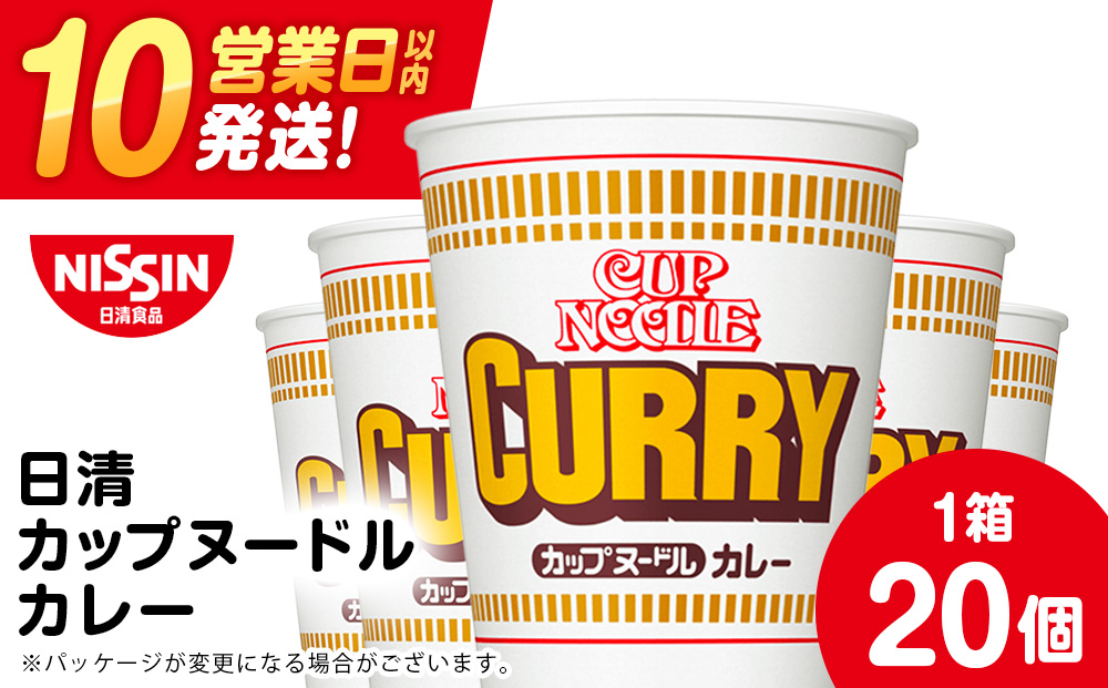 日清 カレーヌ−ドル★1箱（20食入）