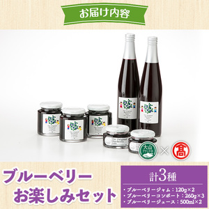 ブルーベリーお楽しみセット(計3種) 鳥取県 鳥取 大山 奥大山 ブルーベリー ジャム ジュース コンポート 贈答 プレゼント ギフト 詰め合わせ 【T-BI3】【大山ブランド会】