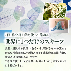 染めの王国新宿　神楽坂生まれの新時代の染色　「山の幸染め」スカーフ 0049-003-S05