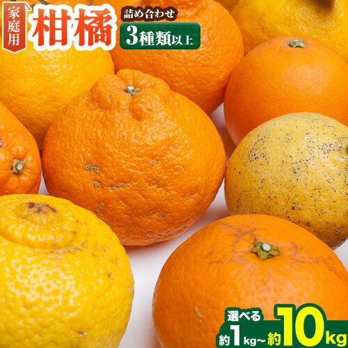 【ふるさと納税】【先行予約】家庭用 柑橘詰合せ 選べる 約1kg＋250g 約2.5kg＋250g 約5kg＋250g 約10kg＋250g (傷み補償分) 3種類以上 有田の春みかん詰め合わせ 光センサー選別 池田鹿蔵農園 《1月上旬-4月末頃出荷》 和歌山県 日高町 【配送不可地域あり】