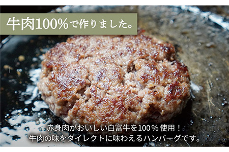 【牧場直送】【12回定期便】岩塩と牛肉のみで作った手ごねハンバーグ 100g×7個【有限会社佐賀セントラル牧場】 [IAH056]