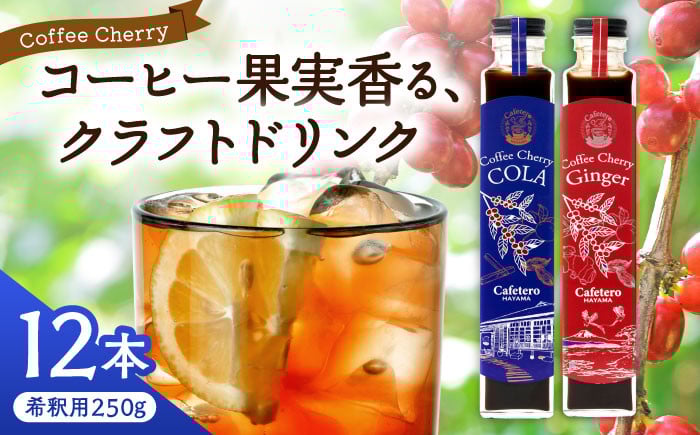 
                  カフェテーロ葉山　コーヒーチェリーコーラ 6本 コーヒーチェリージンジャー 6本/ コーラ エナジードリンク 酸味 コーヒー  神奈川県 葉山町 クラフトコーラ 天然 ドリンク 炭酸【合同会社エンディレクト】 [ASBM005]
                