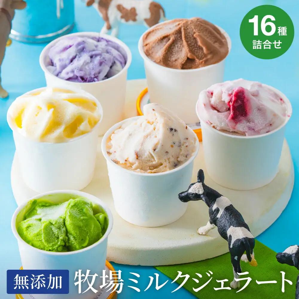 狩野牧場 牛飼いのジェラート 16種セット