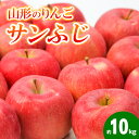 【ふるさと納税】山形のりんご サンふじ 秀品 約10kg(24～50個) FY24-211