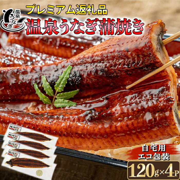【ふるさと納税】 完全無投薬養殖！温泉うなぎ蒲焼 4尾（120gサイズ） 自宅用 エコ包装 ＜104-068＞