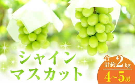 
										
										2024年 先行予約 シャインマスカット 4～5房 合計約2kg 常温配送 ぶどう 葡萄 フルーツ 果物 岡山 
									