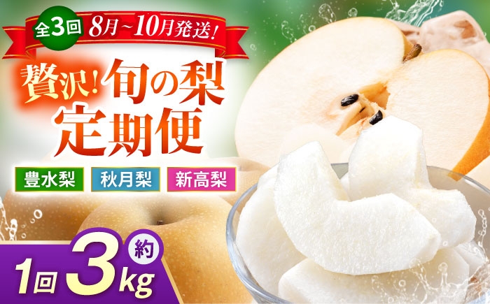 
                  【先行予約】【3回定期便】 梨 約3kg 計約9kg（豊水・秋月・新高）  梨 ナシ フルーツ 果物 【日本フルーツ株式会社】 [ZFJ070]
                