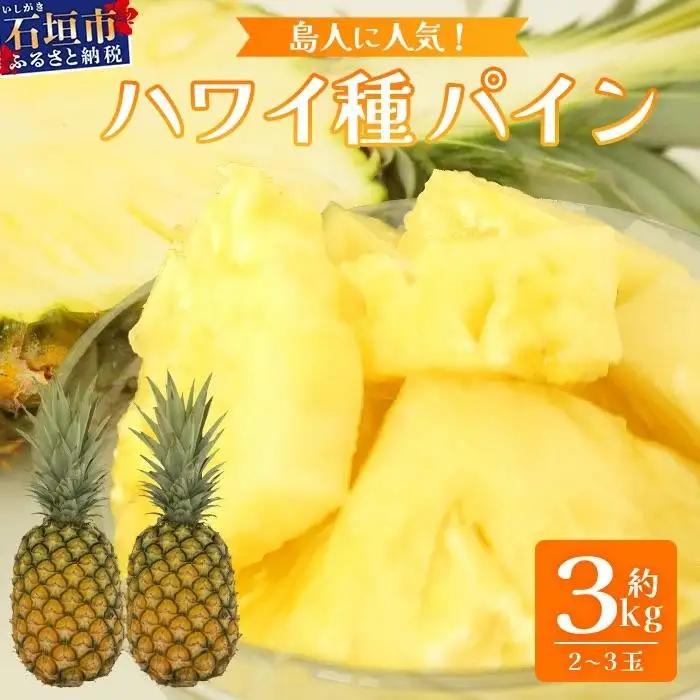 パイナップル ＜先行予約＞ 石垣島産 ハワイ種パイン 2～3玉 約3kg 