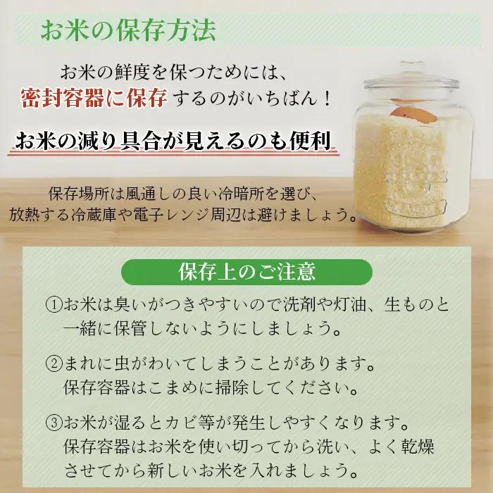 令和7年産　にじのきらめき5kg【坂東市産】 ／ 令和7年 新米 米 お米 こめ コメ 精米 白米 ご飯 国産米 5kg 5キロ ツヤ 粘り 甘み 弁当 おにぎり おいしい お取り寄せ 産地直送 産直