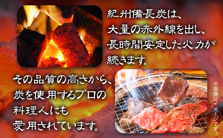 紀州備長炭 小丸 約15kg 望商店 《120日以内に出荷予定(土日祝除く)》 和歌山県 日高川町 備長炭 紀州備長炭 炭 約15kg 高級白炭 BBQ 焚火 アウトドア アウトドア用品