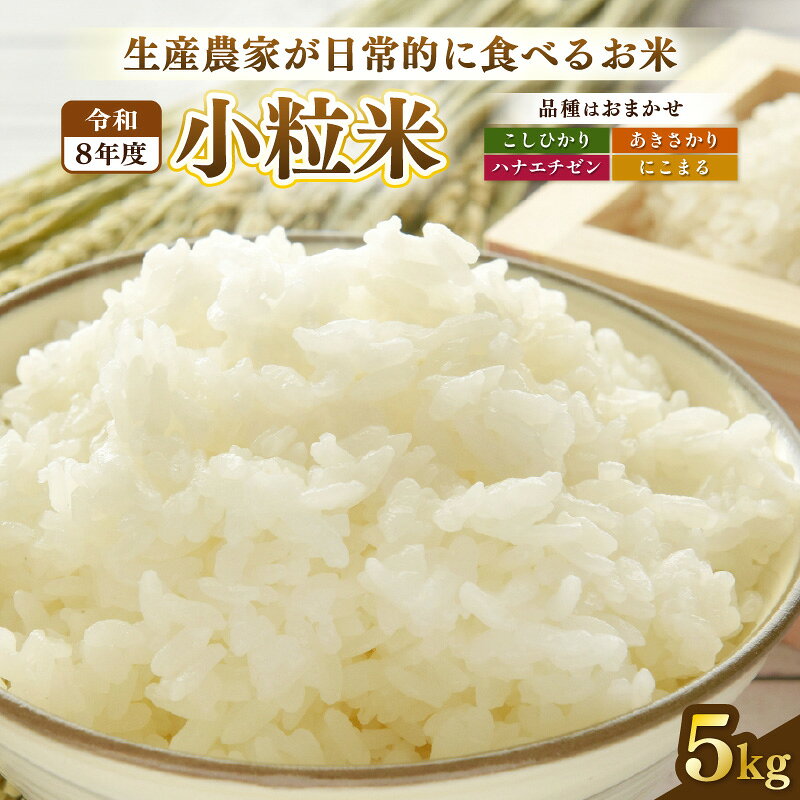 【ふるさと納税】【先行予約】令和8年産 若干小粒米 5kg 福井県越前町産 コシヒカリ・ハナエチゼン・あきさかり・にこまるのいずれか1品種 【白米】 小粒規格米 2026年10月中旬以降順次発送【お米 コメ kome 5キロ】