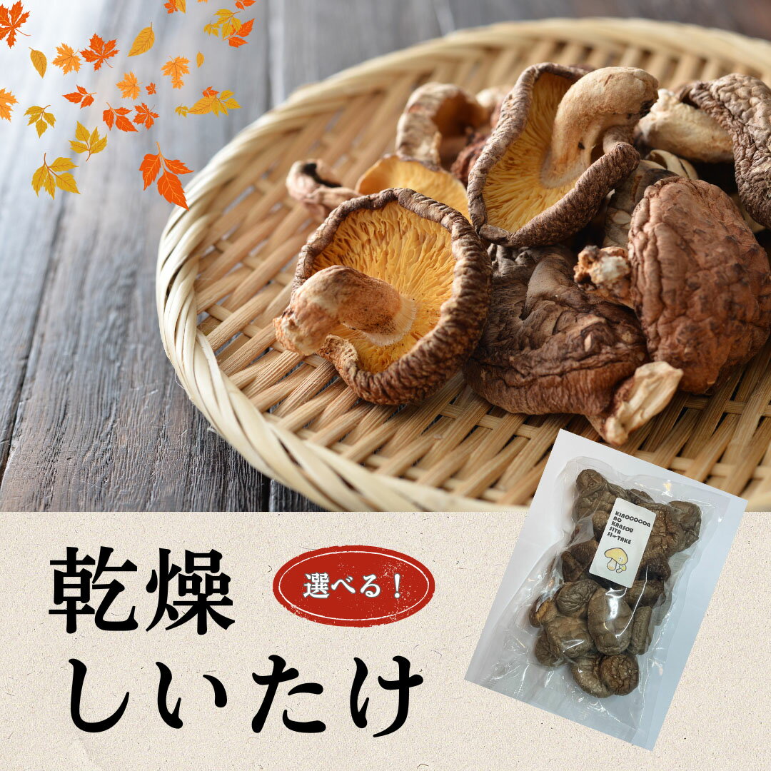 【ふるさと納税】 大分県産 しいたけ 津久見で育てた肉厚乾燥しいたけ 選べる 30g~60g / 1袋~4袋　|　津久見市 干し椎茸 菌床しいたけ シイタケ きのこ 乾物 大分県 九州 国産 産地直送 送料無料 【創造工房】
