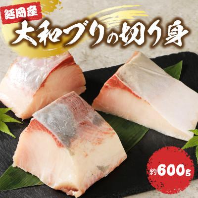ふるさと納税 延岡市 大和ブリの切り身 約600g