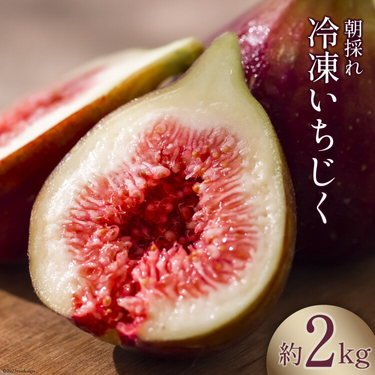【ふるさと納税】 【期間限定発送】＜2025年10月頃より発送＞ 完熟 いちじく 2kg 冷凍 [モアショップヤマモト 石川県 宝達志水町 38600724] 冷凍いちじく イチジク 無花果 果物 くだもの レビューキャンペーン
