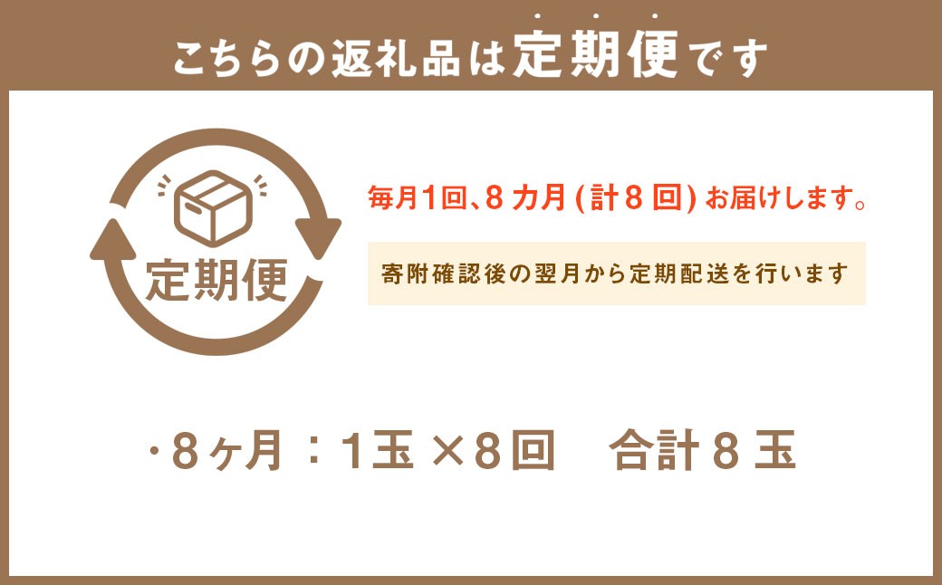 【8ヶ月定期便】静岡県産 高級アローマメロン 小玉 1玉（約0.9kg以上）