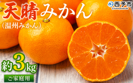 先行予約 ＜愛媛県明浜産 天晴みかん（温州みかん）約3kg＞ 家庭用 訳あり ワケアリ 自宅用 果物 くだもの フルーツ ミカン 柑橘 株式会社笑丸 食べて応援 特産品 産地直送 愛媛県 西予市【常温】『2025年11月中旬～2026年1月上旬迄に順次出荷予定』AAN0006