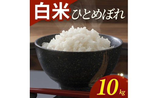 令和7年産【白米】ひとめぼれ　10kg(5kg×2袋) YA SB0943