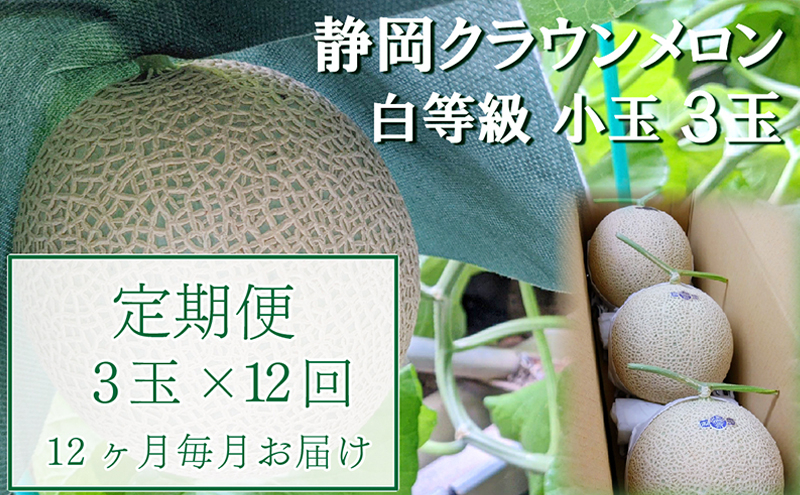 
【12か月定期便】クラウンメロン【並(白等級)】小玉(1.1kg前後)3玉入り
