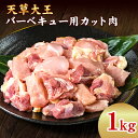 【ふるさと納税】天草大王　バーベキュー用カット肉　熊本県産 【幻の地鶏】あそ大王ファーム株式会社　《60日以内に出荷予定(土日祝除く)》