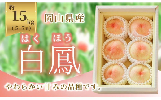 
                  《2025年発送》岡山県産 桃 白鳳 1.5kg 5～7玉
                