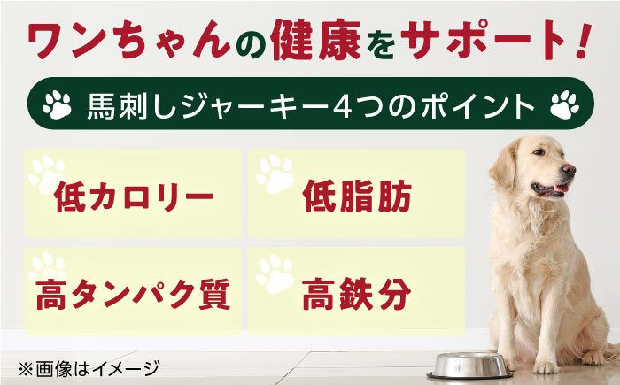 【全6回定期便】ペット用 馬刺しジャーキー 100g(50g×2)【五右衛門フーズ】 [YBZ065]