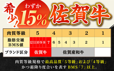 【全3回定期便】佐賀牛 プレミアム焼肉盛り合わせ 900g（300g×3種）【田中畜産牛肉店】佐賀牛 牛肉 ロース 佐賀牛 牛肉 カルビ 佐賀牛 牛肉 赤身 佐賀牛 牛肉 赤身肉 佐賀牛 牛肉 ロース