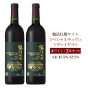 【ふるさと納税】鶴沼収穫ワイン 【スペシャルキュヴェ ツヴァイゲルト】 赤ワイン 2本セット アルコール 11.5％-12.5％ お酒 酒 ワイン 赤 鶴沼ワイン 鶴沼 鶴沼ワイナリー 2本 セット 熟成 北海道産 北海道 浦臼町 送料無料