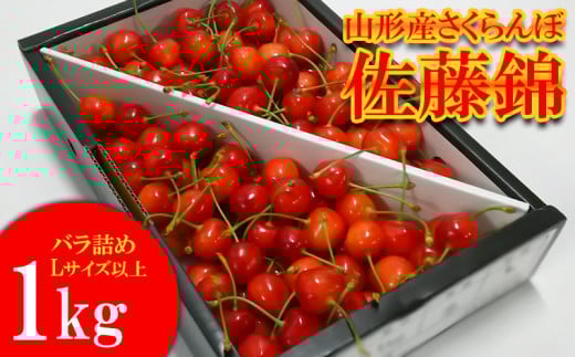 山形産 さくらんぼ 佐藤錦 1kg バラ詰め Ｌ以上 【令和7年産先行予約】FS23-776 くだもの 果物 フルーツ 山形 山形県 山形市 2025年産