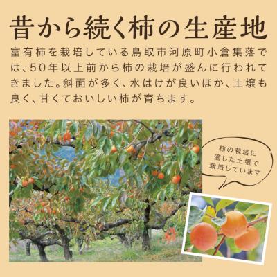 ふるさと納税 鳥取市 富有柿 5kg箱 (L〜2Lサイズ) |  | 01