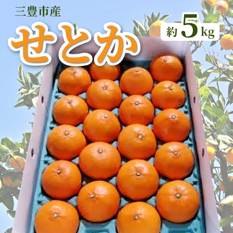 【ふるさと納税】【配送不可地域：北海道・沖縄県・離島】みかん せとか 約 5kg 15玉〜28玉 三豊市産 とろける食感 ジューシー 甘い オレンジのような濃厚な味 手で簡単に皮がむける 中の薄皮も非常に薄い 柑橘 フルーツ 果物 香川県 お取り寄せ 五色青果