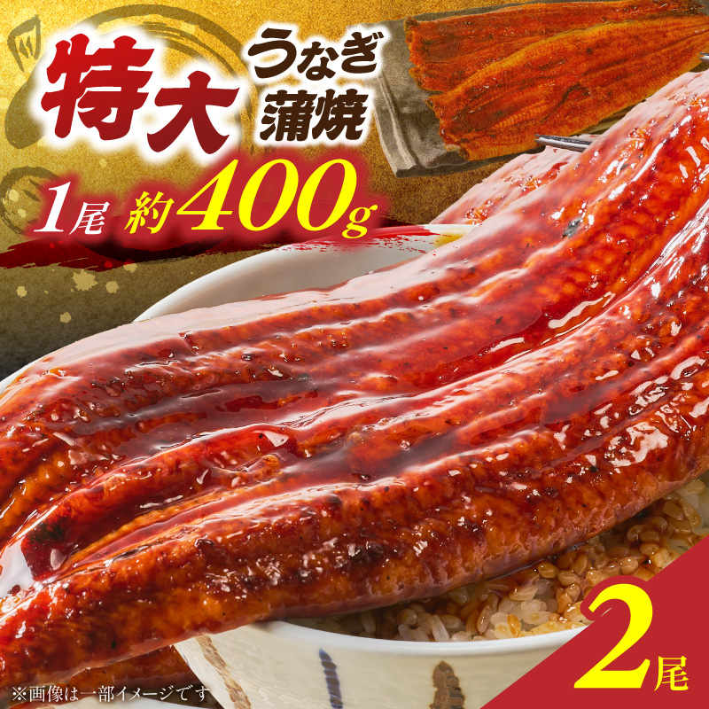 特大うなぎ蒲焼約400g×2尾_特大 うなぎ 蒲焼 無頭 約 400g 2尾 秘伝のタレ グルメ 食品 加工品 魚 魚介類 おかず 惣菜 ご飯のお供 酒の肴 うな丼 ひつまぶし お茶漬け 鰻巻き 冷凍