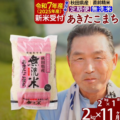 ※令和7年産 新米予約※《定期便11ヶ月》秋田県産 あきたこまち 2kg【無洗米】(2kg小分け袋) 2025年産 お届け時期選べる お届け周期調整可能 隔月に調整OK お米 おおもり