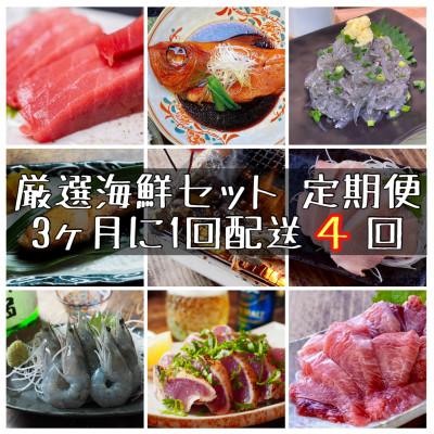 ふるさと納税 小田原市 【3ヵ月毎定期便】特選!海鮮セット!日本酒、焼酎のアテにピッタリ!【神奈川県小田原市早川】全4回