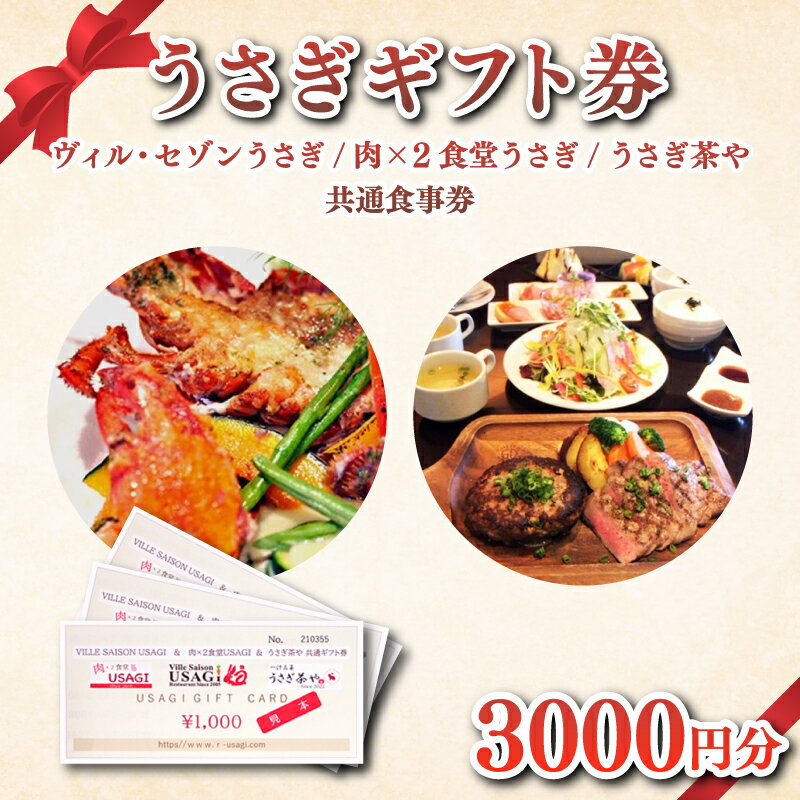 【ふるさと納税】 ウサギグループ 食事 券 ギフト 3,000円分 うさぎ 肉バル フレンチ レストラン ランチ 下関 山口