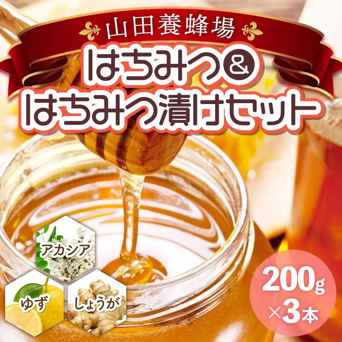 はちみつ＆はちみつ漬けセット（87665） [006-a044]【山田養蜂場】