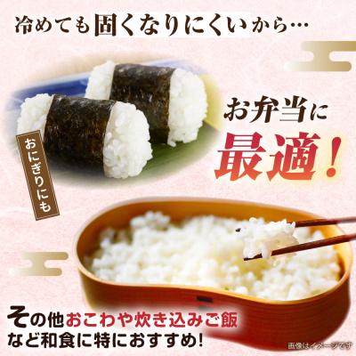ふるさと納税 糸島市 【選べる精米方法】ミルキークイーン10kg(5kg×2)新飼宗一郎商店 [ADE002] |  | 02