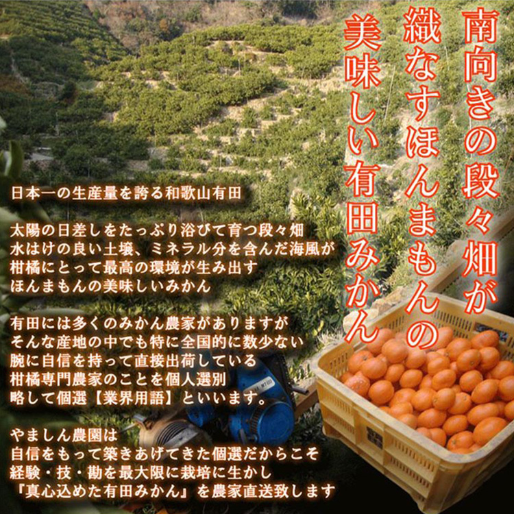 ＼光センサー選別／極 有田みかんプレミアム 約2kg【光センサー 高糖度選別品】2S～Mの小玉サイズ 有機質肥料100% | 光センサー選別 温州みかん みかん 高糖度 柑橘 果物 フルーツ 甘い ※2025年11月下旬～2026年1月上旬頃に順次発送予定 ※北海道・沖縄・離島への配送不可