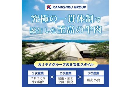 No.612 ＜訳あり・不揃い＞国産黒毛和牛切落し焼肉用(計900g・300g×3P)牛肉 切落し 切り落し 和牛 冷凍 国産 九州産 小分け 国産牛 お肉 焼き肉 焼肉 訳あり 訳アリ 冷凍【カミチ