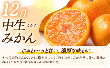 3ヶ月定期便 みかん 計15kg 日本フルーツ株式会社 ミカン