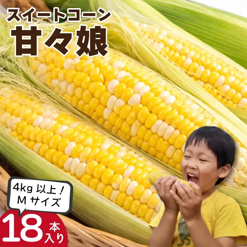 【 とうもろこし 】 甘々娘 4kg以上 18本 スイートコーン
