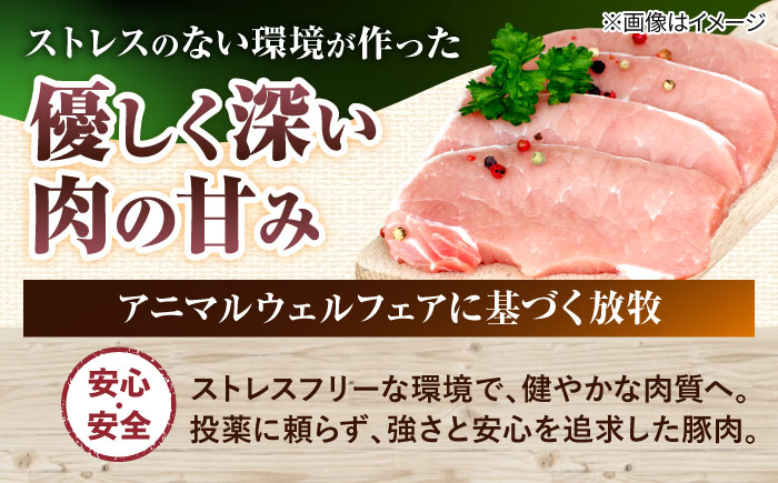 『ハム贅沢セット』 豚肉 ポークステーキ ソーセージ ハム 詰め合わせ お取り寄せ 国産 ギフト 冷凍 沖縄市 / DELICATESSEN NUCHIBUTA [BCAR007]