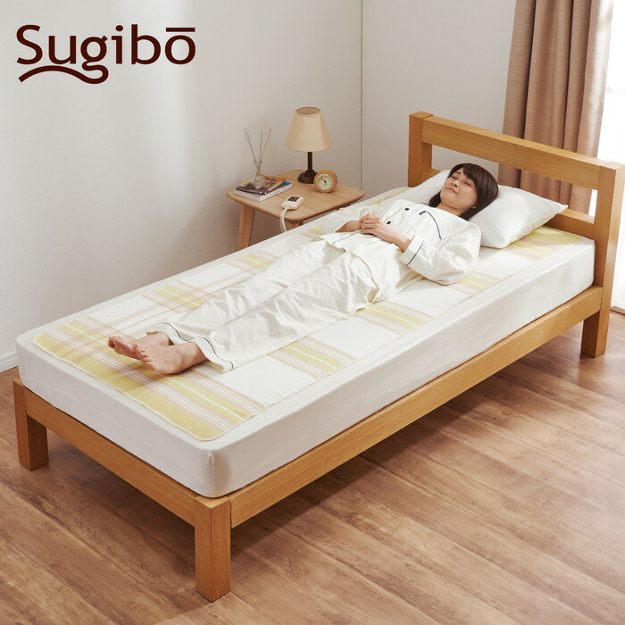【ふるさと納税】No.353 電気敷毛布 ／ 寝具 暖かい 冬 冷え予防 洗える 洗濯可能 送料無料 大阪府