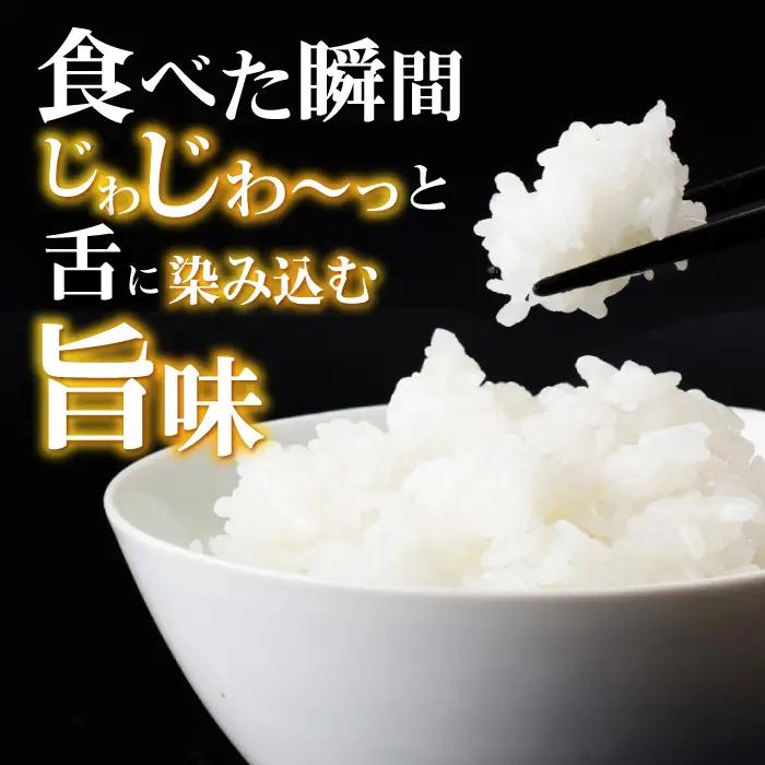 【先行予約】【R8年新米】循環農法米 にこまる 白米 5kg / お米 おこめ コメ 精米 白米 / 諫早市 / 株式会社土井農場 [AHAD049] 新米 しんまい