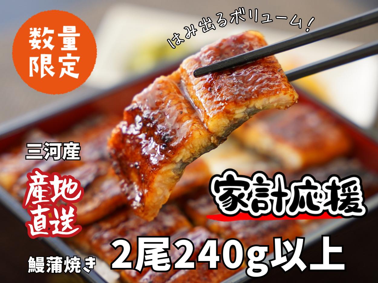 
            生産者｢愛知養魚｣がお届けする三河産うなぎ「蒲焼冷凍2尾」(合計240g～250g) ≪冷凍≫ 鰻 ウナギ 国産うなぎ 蒲焼き 愛知県 西尾市 たれ付き 海鮮 惣菜生産者｢愛知養魚｣がお届け 丑の日 土用の丑の日 ・A092-15-c0
          