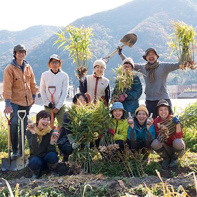 ふるさと納税 土庄町 【毎月定期便】瀬戸内小豆島そだちの旬野菜セット全12回 |  | 03